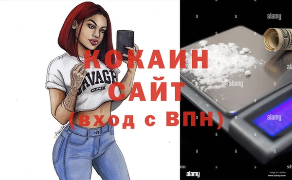 дживик Богородицк