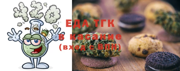 дживик Богородицк