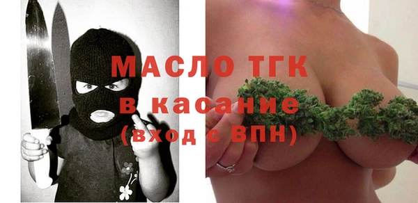 дживик Богородицк