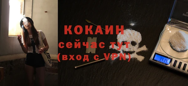 гашиш Богданович