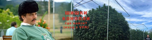 гашиш Богданович