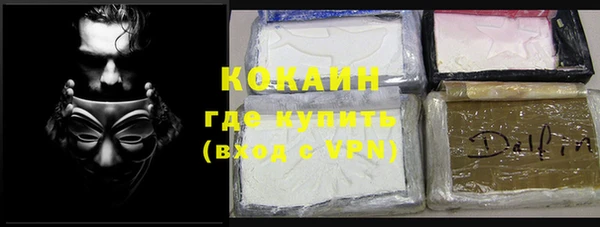 дживик Богородицк