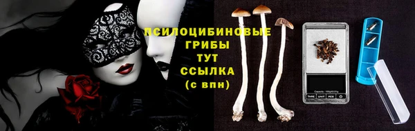 дживик Богородицк