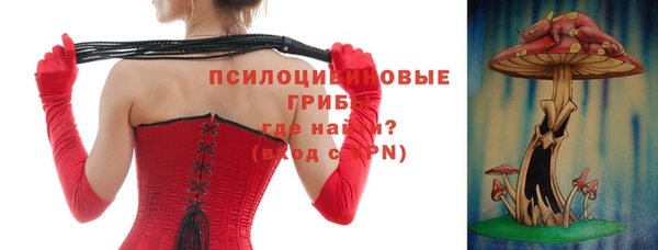 гашиш Богданович