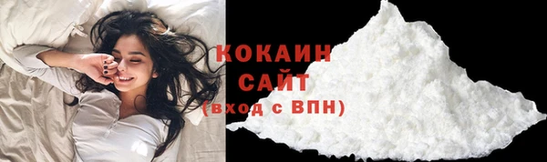 дживик Богородицк