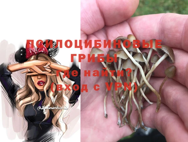 тгк Богородск