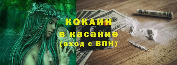 дживик Богородицк
