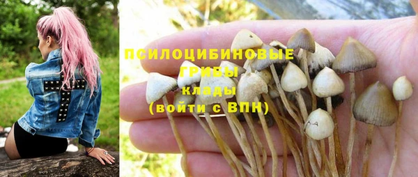 дживик Богородицк