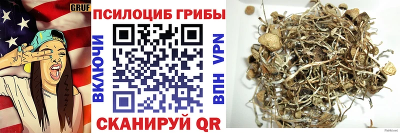 наркота  Крымск  Псилоцибиновые грибы ЛСД 
